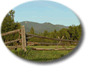 Horse Ranches For Sale