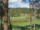 120 Acre Hunting Property and Nice Horse Setup