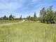 Horse Farm Acreage Barns Stables 3 Homes Business Opportunity Photo 10