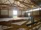 Twelve Acre - 8 Box Stall - Indoor Arena Horse Farm in Southern WI Photo 4