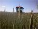 1990 Acre Cattle and Hay Production Wyoming Ranch with Excellent Hunting