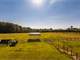Immaculate Turnkey Horse Farm for Sale in Johnston County NC Photo 19