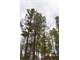 Amazing Horse Property in the Pines Photo 17