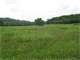 248 Acres 5000 White Conkwright Winchester Clark County Kentucky