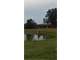 264 Acre Black River Farm Located in Butler County Missouri. Buildings