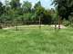 For Sale 6 Acres in Baytown Texas with Working Horse Stable Business Photo 3