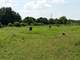 For Sale 6 Acres in Baytown Texas with Working Horse Stable Business Photo 4