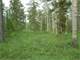 37.67 Acres Pristine Hunting Land North MT Mckinley Denali Alaska AK