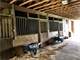 Horse Farm ON 27.5 Acres with Updated Bungalow in Waxhaw N.C Photo 5