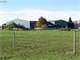 Combination Horse Ranch and Grass Based Organic Dairy Aumsville Or Photo 1