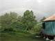 5.7 Acre Organic Homestead Fully Fenced with Mature Fruit Trees H20 Tank