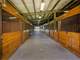 Loa Horse Ranch. Close in Acres. Stalls Indoor and Outdoor Arenas Photo 14