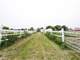 Amazing Turn Key Horse Farm for Sale Photo 11