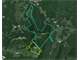Absolute Trustee Auction - 555 Acres in Danese WV