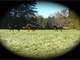 Acre Farm for Rent or Lease South Central Virginia