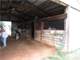 Acre Horse Training Facility in Oklahoma