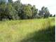 Acres in Trilby Trails Equestrian Community Trilby Pasco County FL