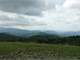 Amazing Views Beautiful Log Home and 33.03 Acres Included