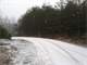 Approximately Ten Acre Farm and Homesite Beautiful Piece Land