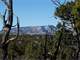 Beautiful Property with Everything You Need for Horses and People Too