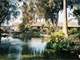 Beautiful Turn-Key Horse Ranch - Central California