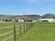 Boulder County Horse Property Colorado - Turnkey Business Opportunity