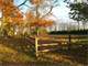 Brick Ranch ON 3 Acres- Bring Your Horses
