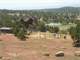 Custom Log Home ON Horse Property ON Forty Acres