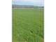 Eastern Washington Cattle and Hay Ranch or Farm