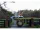 Elegant Horse Farm Dahlonega GA