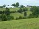 Equine Training Breeding Farm Near Lexington KY