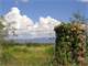 Fenced Acres with Power and Water - Great Mountain Views