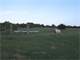 Homey Residential Breeding Horse Ranch ON Level Acres