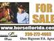 Horse Property ON Acres in Bonita Springs FL