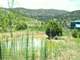 Horse Ready Barn Fenced Power Water Telephone Garden Ponds
