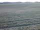 Loudon County Tennessee Acre Farm All Cleared3500feet Barn Will Divid