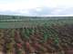 Sixty Nine Acres for Quick Sale Good for Flowerhorticulture Farming