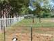 Small Farm Ont the Rio Grande. 350 Gallon Per Minute Well. Perment Pastrure