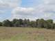 Spanish Ranch Estate and Income Producer