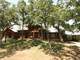 Striking Log Home ON Acres