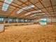 Unique Horse Property and Training Facility Commercial Potential