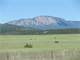 Warmer Than Wyoming and Cooler Than Texas - New Mexico Horse Property