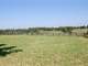 178 Acres 353 Stoney Point Paris Bourbon County Kentucky Photo 2