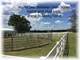 Premier Turn Key Breeding and Training Facility- Owned Minerals Convey Photo 8