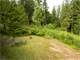 Home ON 5.3 Acres in Snoqualmie - Equestrian Possibilities Photo 11