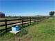 Very Efficient Setup for Horses. Low Maintenance Photo 11