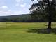 Gentleman Farmer Horse Ranch. Acres with Arkansas River View Plus Home Photo 5