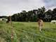 Twelve Acre - 8 Box Stall - Indoor Arena Horse Farm in Southern WI Photo 18