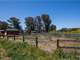 Amazing Equestrian Estate in Nipomo Photo 14