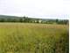 Horses Welcome Beautiful Valley Views Over 6.8 Acres New Columbia PA 17856 Photo 1